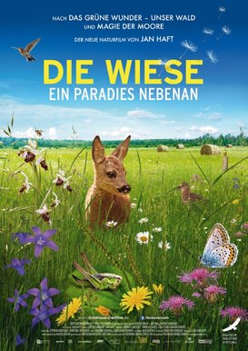Filmplakat Die Wiese - Ein Paradies nebenan